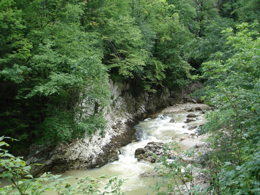 929209 (a): :2592x1944